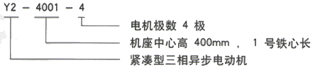 YR系列(H355-1000)高压YJTKK5004-2三相异步电机西安西玛电机型号说明